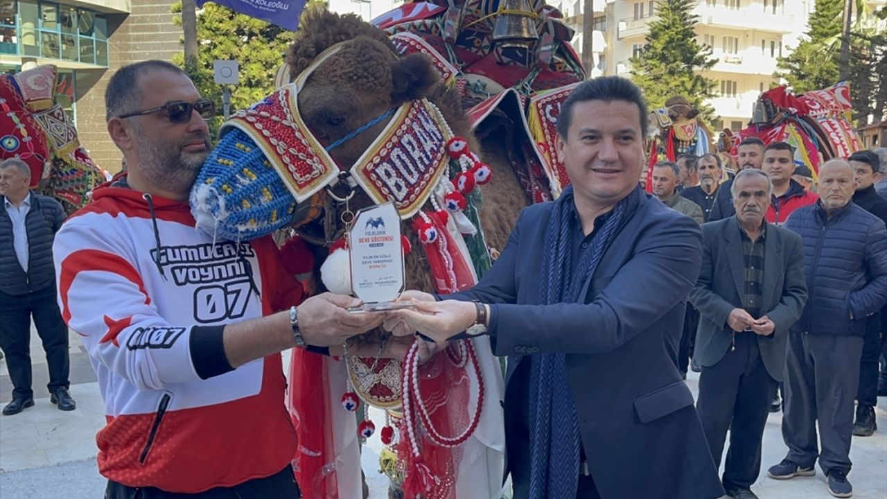 Antalya'da "en süslü deve" yarışması düzenlendi