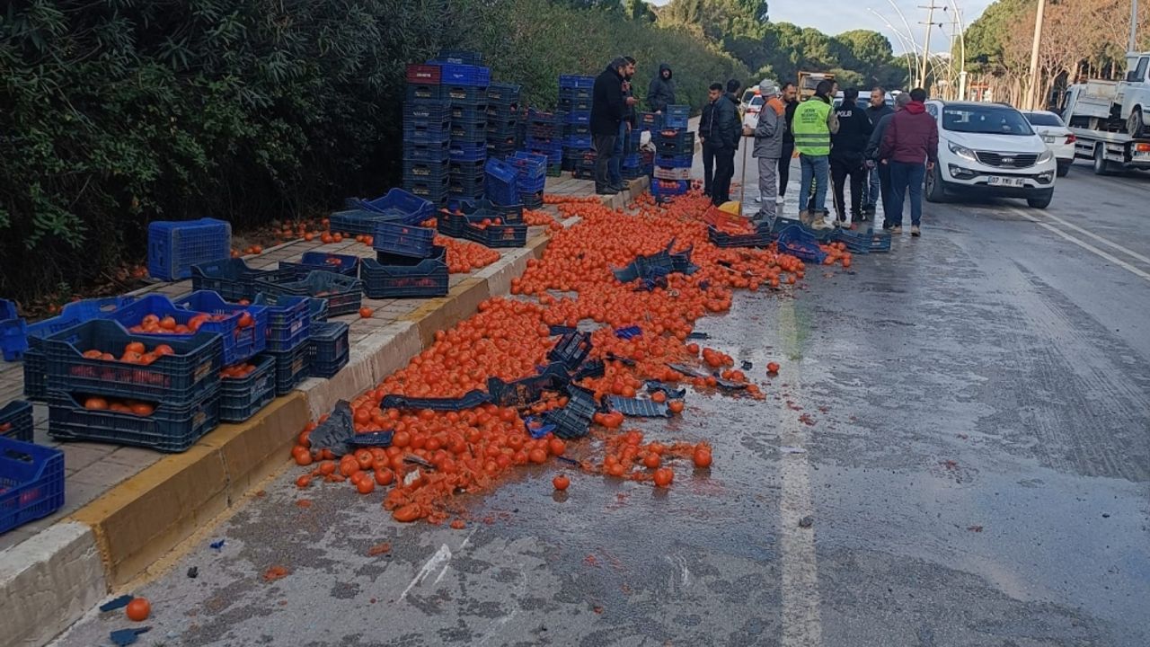 Serik'te midibüsle çarpışan kamyonetteki domatesler yola saçıldı