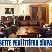 Siyaset