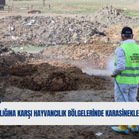 Hatay