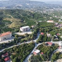 Hatay