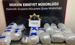 Mersin'de tırdaki ev eşyalarına gizlenmiş 24 kilogram esrar ele geçirildi