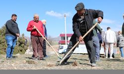 Antalya'da Antep fıstığı yetiştiriciliği için örnek bahçeler kuruldu