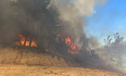 Antalya'da çıkan yangında 3 dekar ormanlık alan zarar gördü