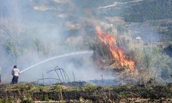 Hatay'da zeytinlikte başlayıp buğday tarlasına sıçrayan yangın söndürüldü