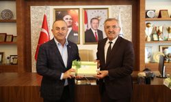 AK Parti milletvekilleri Çavuşoğlu ve Çelik, Serik'te ziyaretlerde bulundu