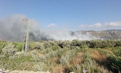 Hatay'da çöplük alanda çıkan yangın söndürüldü