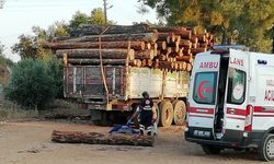 Antalya'da üzerine tomruk düşen kişi hayatını kaybetti