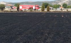 Burdur'da çıkan yangında 40 dönümlük buğday tarlası zarar gördü