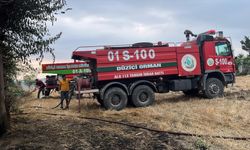 Osmaniye'de çıkan orman yangınında 1 dekarlık alan zarar gördü