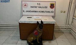 Jandarma Uyuşturucu Tacirlerine Göz Açtırmıyor!!!