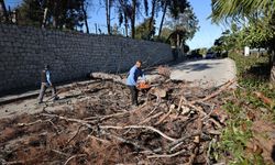 Adana'da şiddetli rüzgar etkili oldu