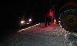 Alanya'da kar nedeniyle yayla yolunda mahsur kalan 33 kişi kurtarıldı