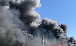 Mersin'de narenciye paketleme fabrikasında çıkan yangına müdahale ediliyor