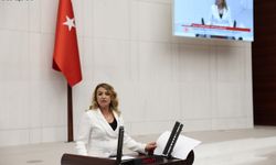 YILDIRIM KARA: HIRSIZLIK VAKALARI ENGELLENEMEDİ