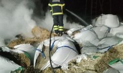 Adana'da tahıl kurutma fabrikasında çıkan yangın söndürüldü