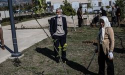 Mersin'de sağlık hizmeti alan vatandaşlar hastane bahçesinde fidan dikti