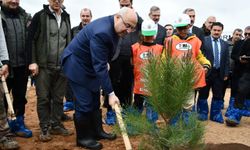 Adana ve Mersin'de Dünya Ormancılık Günü kapsamında fidan dikimi yapıldı