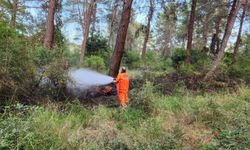 Antalya'da ormanlık alanda çıkan yangın söndürüldü