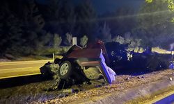 Burdur'da ağaca ve direğe çarpan otomobilin sürücüsü yaralandı