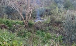 Hatay'da ormanlık alanın yakınında ateş yakan kişiye para cezası verildi