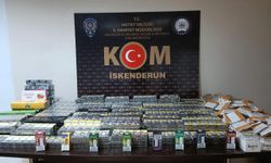 İskenderun'da kaçakçılık operasyonunda 1 şüpheli yakalandı