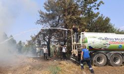 Antalya'da otluk alanda çıkan yangın ev ve seralara zarar verdi