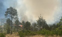 Mersin'de çıkan orman yangınına müdahale ediliyor