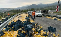 Mersin'de limon yüklü kamyonun devrilmesi sonucu 6 kişi yaralandı