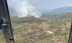 Antalya'nın Serik ilçesinde orman yangını çıktı