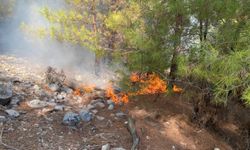 GÜNCELLEME - Antalya'nın Kaş ilçesinde çıkan orman yangınına müdahale ediliyor