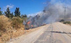 Hatay'da otluk alanda çıkan yangın söndürüldü