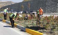 HAVALİMANINDAN HBB YERLEŞKESİ’NE KADAR REFÜJLER YENİLENİYOR