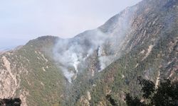 Kahramanmaraş'taki orman yangınına müdahale sürüyor