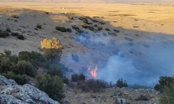 Isparta'da ormanlık alanda çıkan yangın söndürüldü