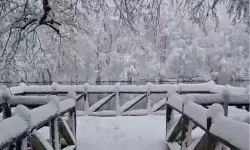 Yedigöller beyaz gelinliğine büründü