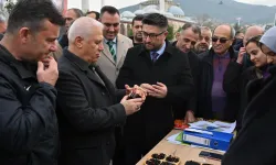 Bursa Büyükşehir Belediyesi'nden üreticiye fide ve fidan desteği