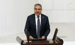 Güzelmansur: Hatay Sahipsiz, Çiftçi ve Depremzede Yalnız Bırakıldı