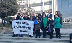 DAÇE Alarm Verdi: Zeytinlikler Gidiyor, Ekosistem Çöküyor