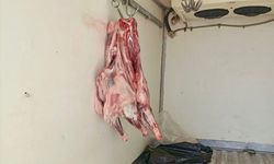 Hatay’da 34 Kilogram Bozulmuş Et Ele Geçirildi, İmha Edilecek