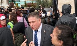Mullaoğlu’ndan Hayvan Yasasına Tepki