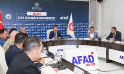 Hatay’da Sokak Hayvanları İçin Kurul Toplantısı Yapıldı