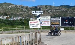 Samandağ’da Kuduz nedeniyle 4 Mahallede Köpekler Toplatılıyor