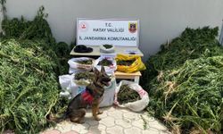 Hatay’da Zararlı madde ve Kaçakçılığa büyük Darbe