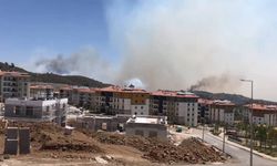 Hatay'da Orman Yangını: Alevler TOKİ Konutlarına Sıçradı