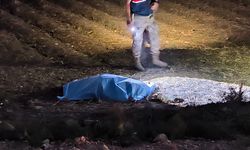 Tekeri patlayan otomobil tarlaya uçtu: 1 ölü, 2 yaralı