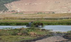 Hatay'da gölde temizlik yapılırken devrilen amfibi araçtaki belediye personeli öldü