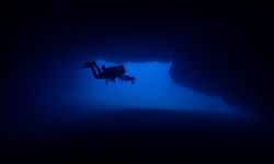 Doğu Akdeniz'in derinliklerine inen dalgıçlar canlıların renkli dünyasını görüntüledi