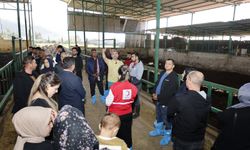 Hbb 'Hakim' ile Kurslarına Devam Ediyor!