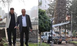 Vali Ürgen Parkı yeileniyor!